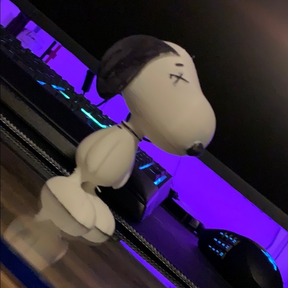 Snoopy - Picture 2 of 3